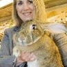 Funny Animals - Worlds Fattest Bunny
