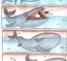 Funny Links - Humorous Whale