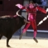 Funny Pictures - Bullfight Up in the Air