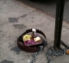 Funny Links - Hipster Trap