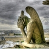 Cool Pictures - Notre Dame of Paris