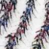 Weird Funny Pictures - Crowded Skiing