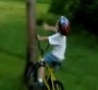 Funny Links - Kid Smashes Into a Tree