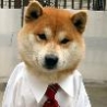 Funny Animals - Business Dog