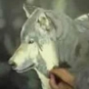Cool Links - 30 Hour Wolf Painting