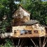 Cool Pictures - Largest Treehouse