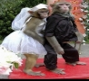 Funny Animals - Monkeys Wedding-Funny Picture