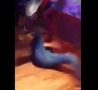 Funny Links - Breakdancer Wallops Hot Chick In Bar