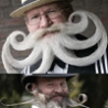 Funny Links - Mustache Championship