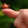 Weird Funny Pictures - Worlds Smallest Teapot
