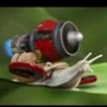 Cool Links - Transformer Snail