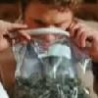 Funny Links - Pineapple Express Trailer