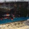 Weird Funny Pictures - Ice Fish Tank