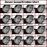 Celebrities - Steven Segal Emotional Chart