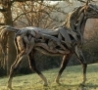 Funny Links - Skeleton Horse