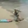 Cool Links - Beach Board Faceplant