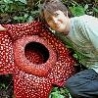 Weird Funny Pictures - 7 Strange Plants