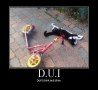 Funny Pictures - D.U.I 