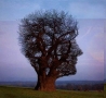Illusions - A Face Tree?