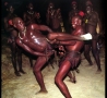 Funny Links - African Ritual