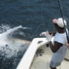 Cool Pictures - Marlin Fishing