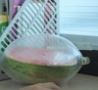 Cool Links - Watermelon Container 