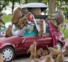 Funny Pictures - Baboon Attack