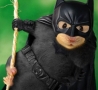 Funny Animals - Bat Rat