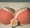 Cool Pictures - Booby Cake