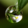 Cool Pictures - Tiny Water Drops