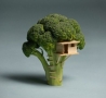 Cool Links - Broccoli House