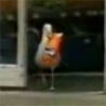 Funny Links - Seagull Caught Stealing Doritos