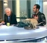 Funny Links - Dog Poops On Live TV