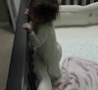 Funny Links - Dad Gets in the Crib with Kid