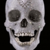 Weird Funny Pictures - Diamond Skull