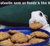 Easter Funny Pictures - Cookie Thief