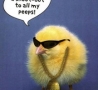 Easter Funny Pictures - Cool Easter Chick! 