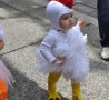 Funny Kids - Cute Chick