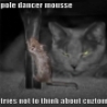 Funny Animals - Funny Mouse Pole Dancing