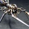 Cool Pictures - Scissor Spiders
