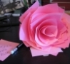 Cool Links - Paper Rose
