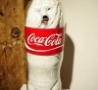 Funny Links - Dog In Coke