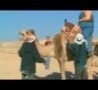Funny Links - Chubby Girl on Camel