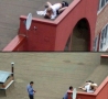 Funny Pictures - Do it on the Roof