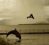 Funny Pictures - Dolphin Imitator