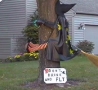 Funny Pictures - Drinking Witch