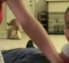 Funny Links - Baby Video Ruined By Humping Dog