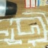 Cool Links - Deadly Slug Maze