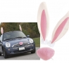 Easter Funny Pictures - Easter Car