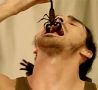 Cool Links - Eating a Live Giant Scorpion